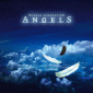 Angels (Limited Edition)