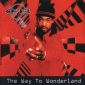 The Way to Wonderland