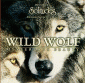 Wild Wolf - Mysterious Beauty