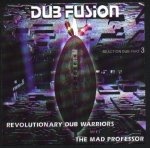 Dub Fusion