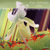 Pop Ambient 2006 (KOMPAKT CD 47)