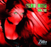 Zillo Club Hits Vol.12 2CD