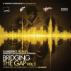 Bridging The Gap Vol. 2