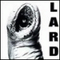 Power Of Lard