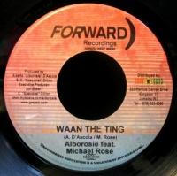 Waan The Ting
